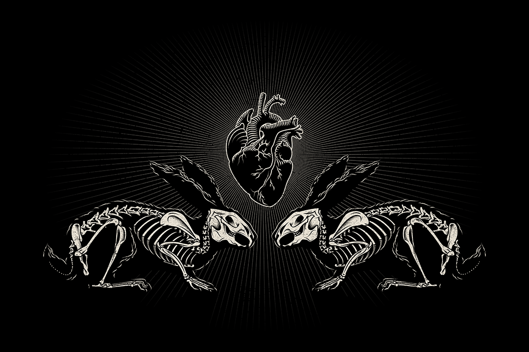 Lepus Aeternum