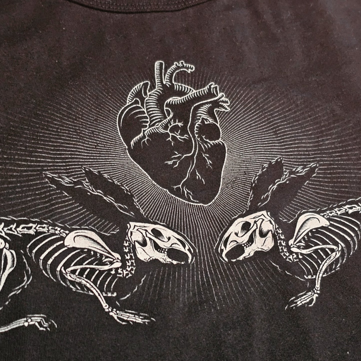 Lepus Aeternum Tank