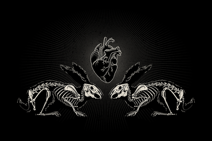 Lepus Aeternum
