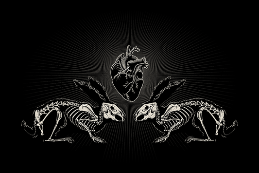 Lepus Aeternum
